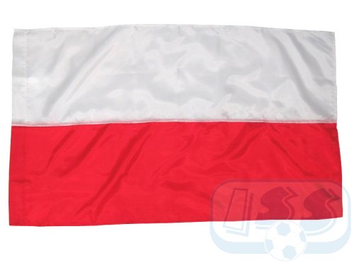 Fahne Polen 
