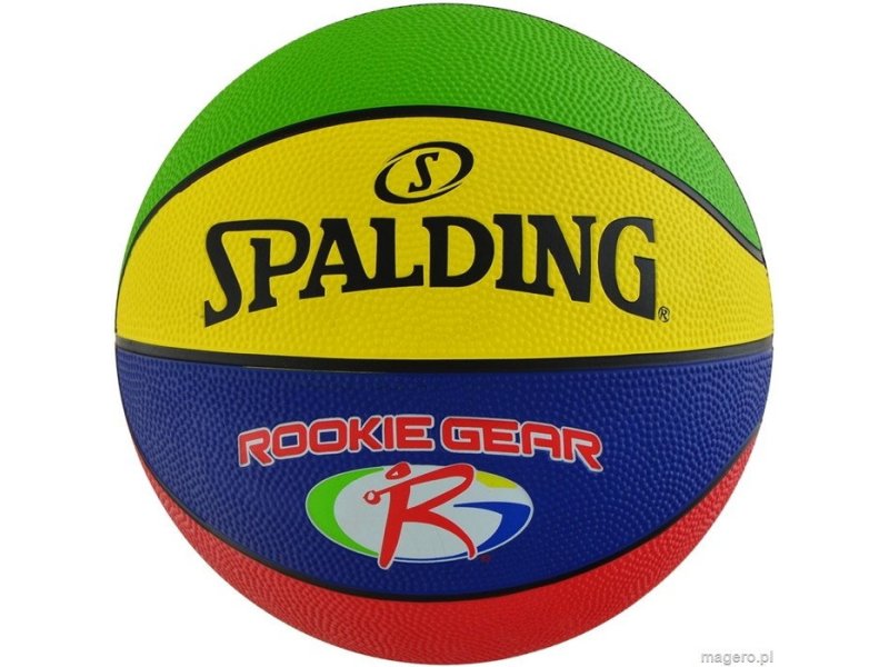 : Spalding BasketBall