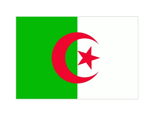 Algerien Fahne