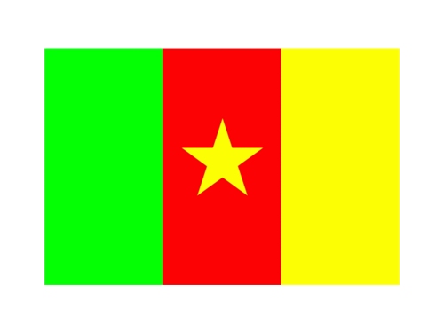 Kamerun Fahne