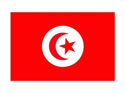 Tunisia Fahne