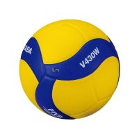 : Mikasa VolleyBall